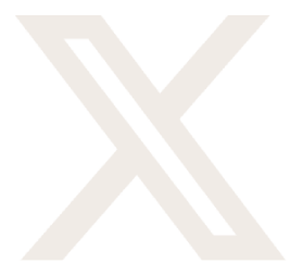 X Icon